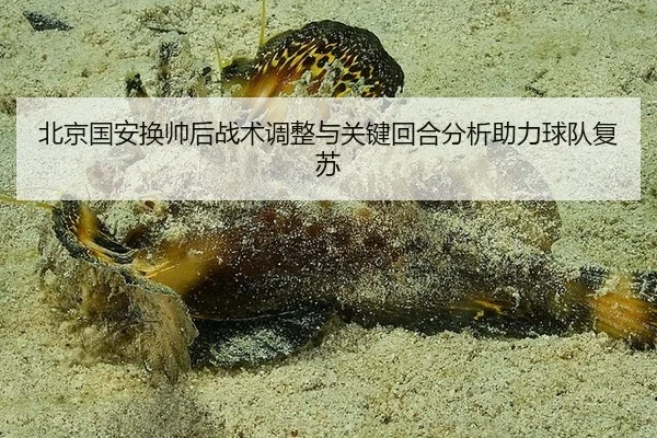 北京国安换帅后战术调整与关键回合分析助力球队复苏